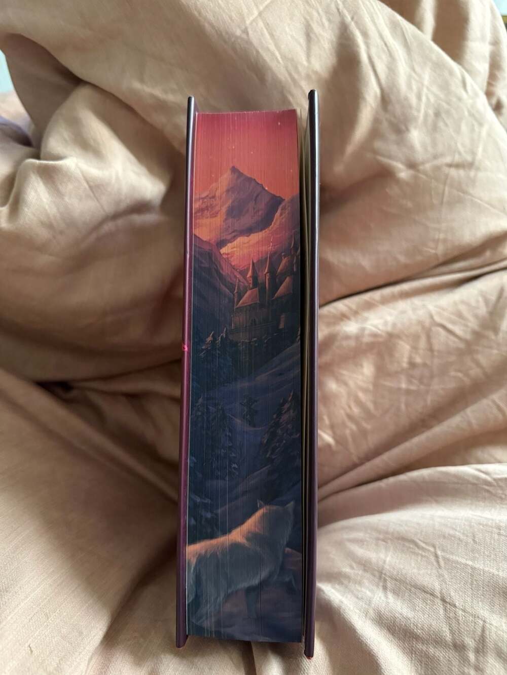 Sable Sorensen Dire Bound Hardcover Special Edition - Picture 7 of 13